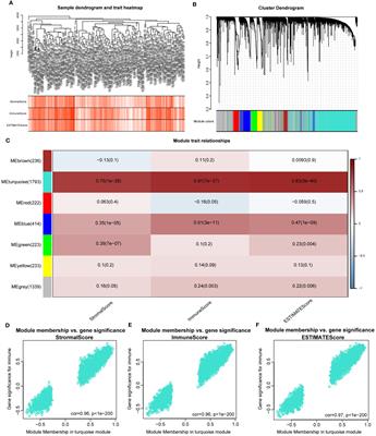 Immune infiltration-related genes regulate the progression of AML by invading the bone marrow microenvironment